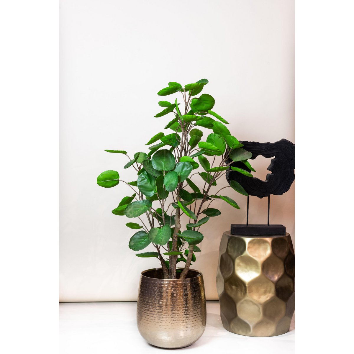 Kunstplant - Polyscias 105 cm