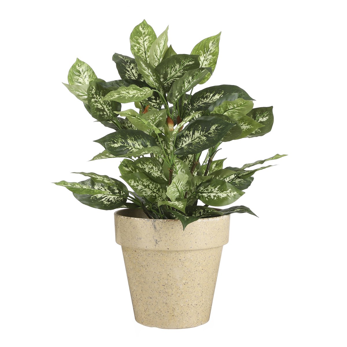 Kunstplant Dieffenbachia - In Bloempot Stan