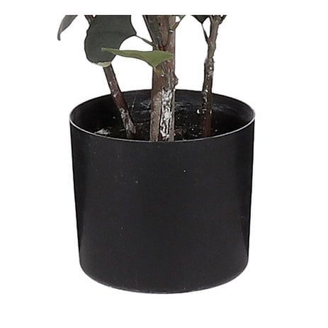 Eucalyptus Kunstplant - In Bloempot