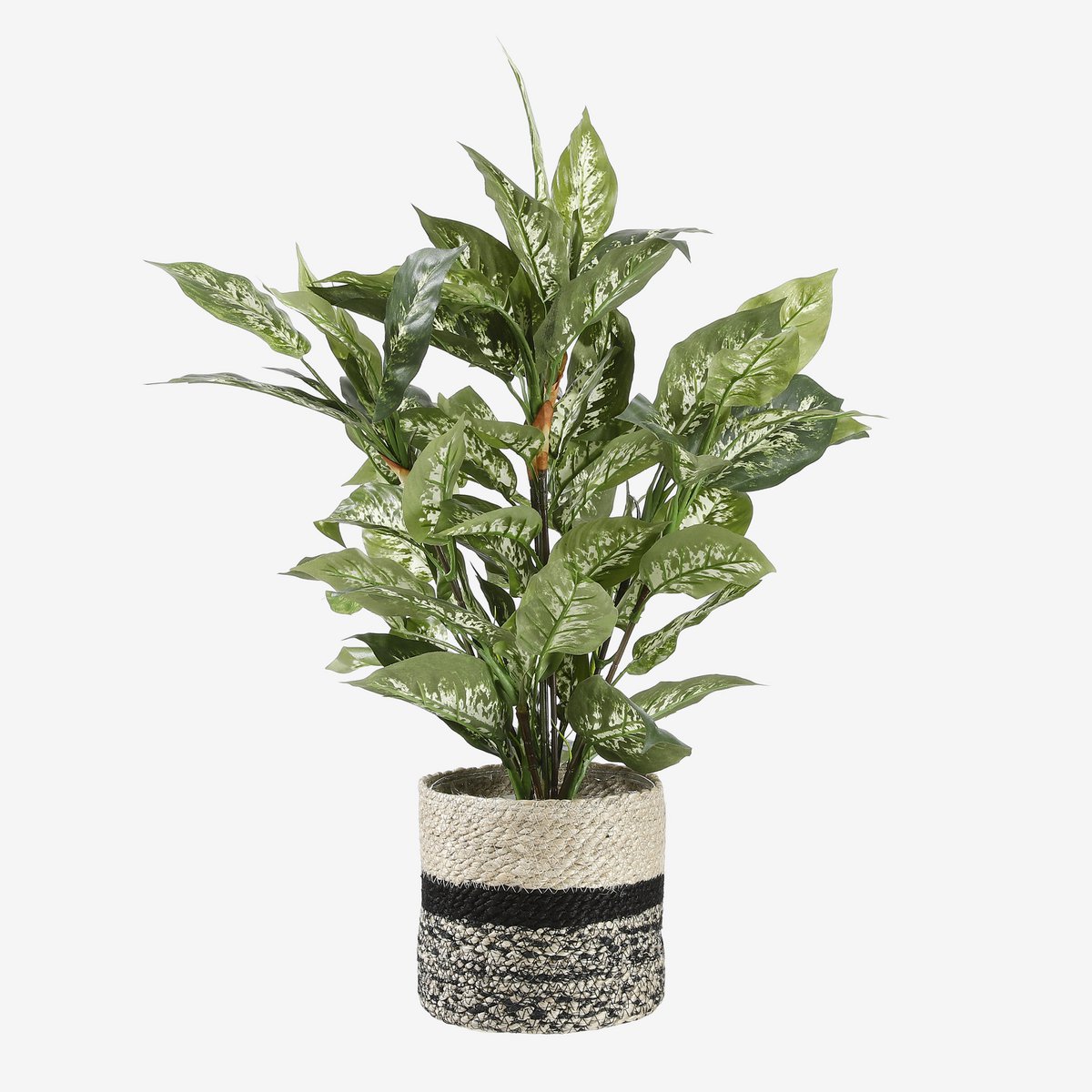 Kunstplant Dieffenbachia - In Bloempot Stan