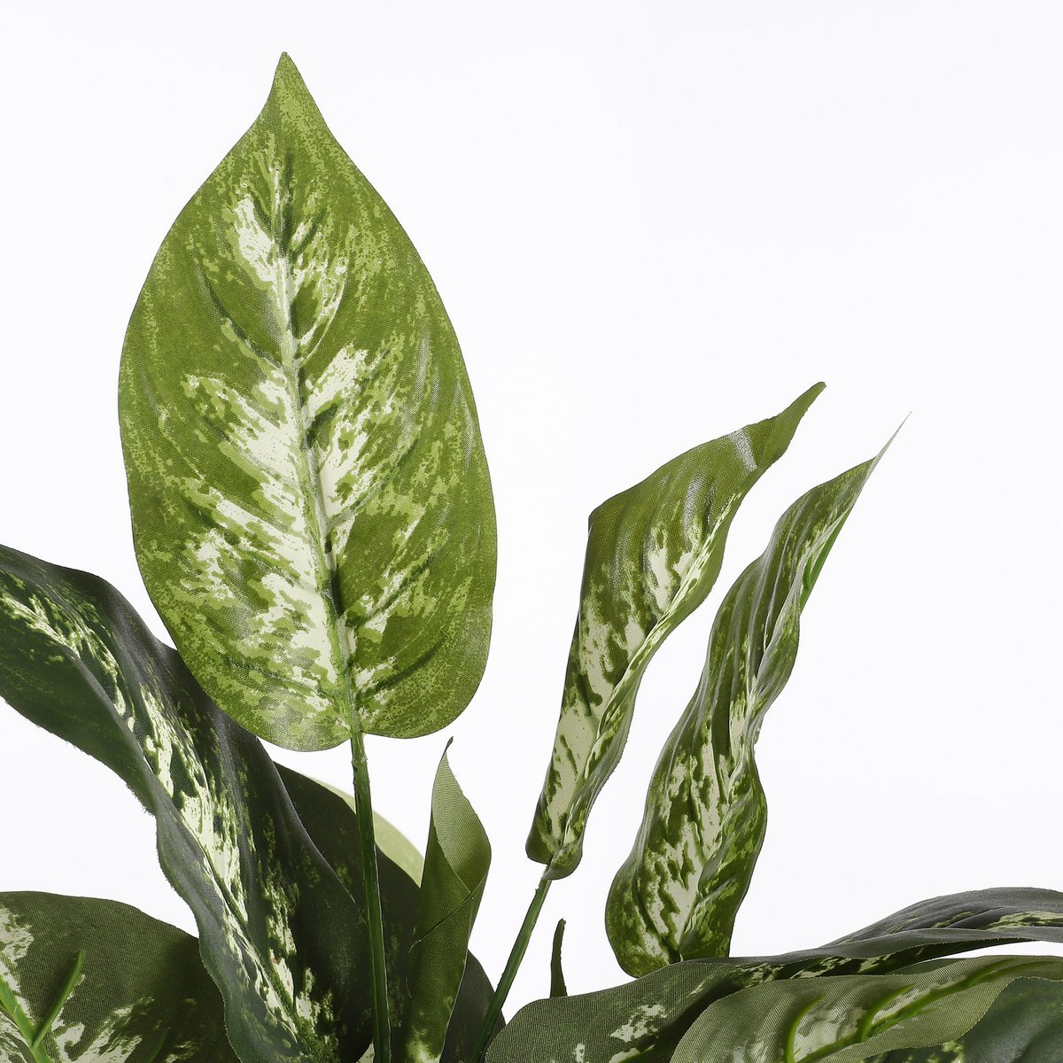 Kunstplant Dieffenbachia - In Bloempot Stan