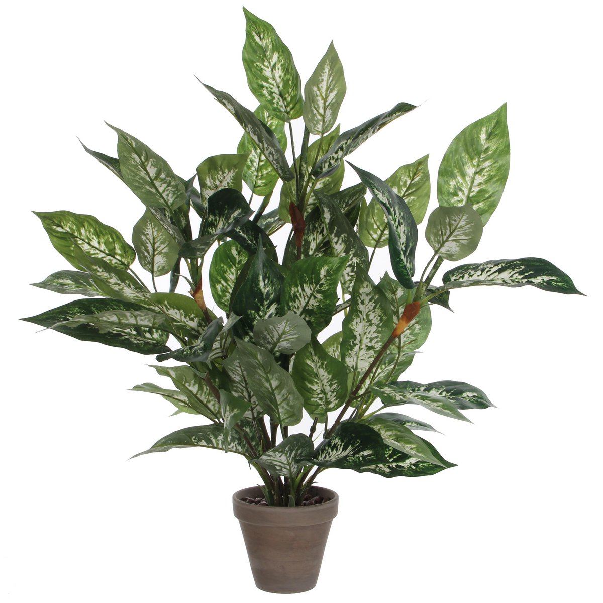 Kunstplant Dieffenbachia - In Bloempot Stan