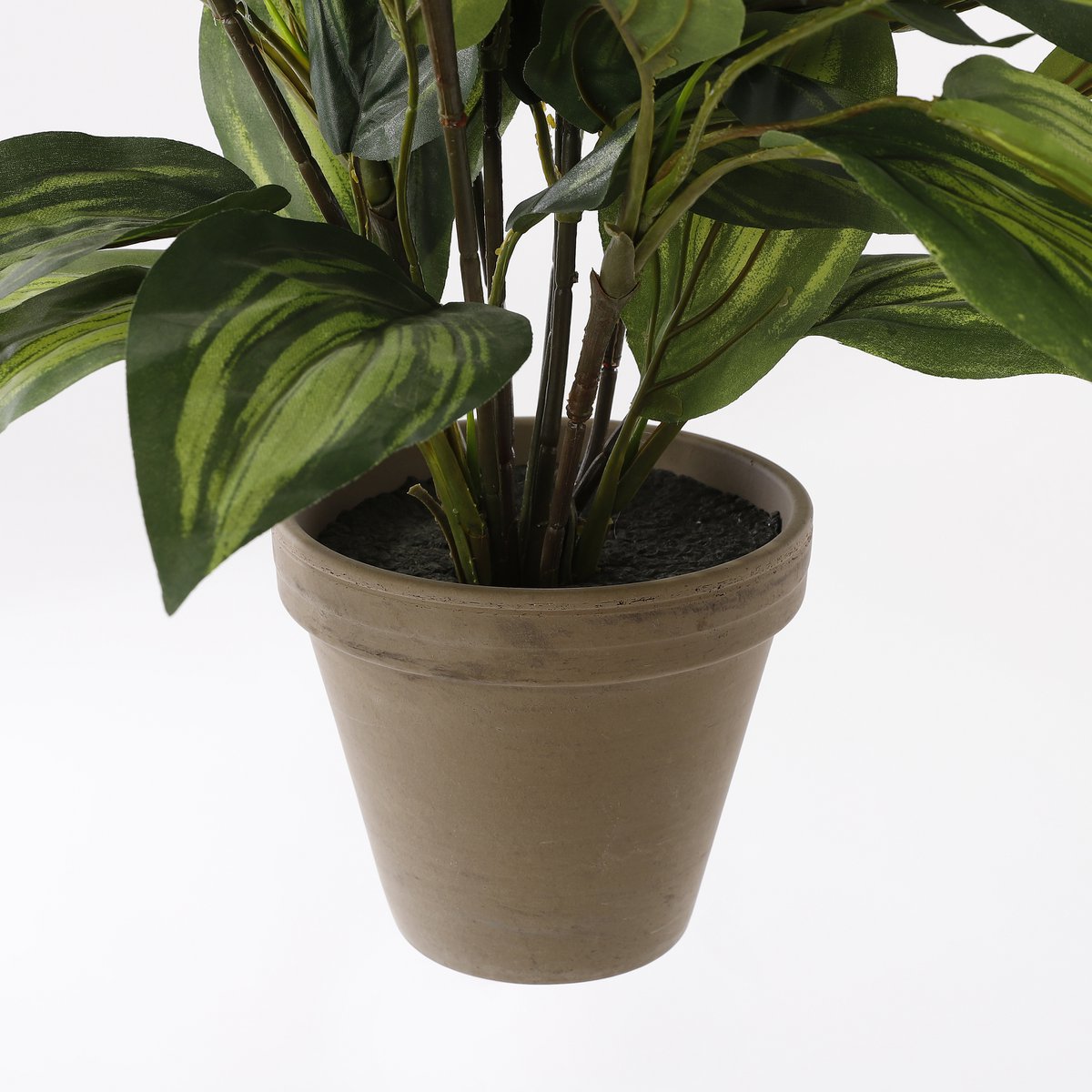 Hosta Kunstplant - Incl. Bloempot Stan