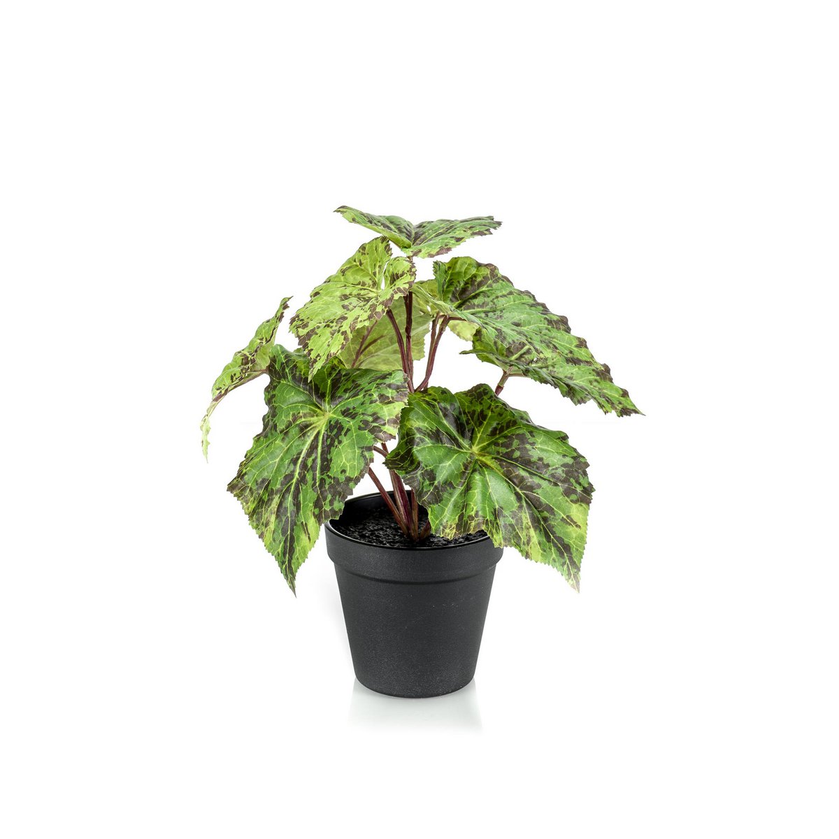 Kunstplant Begonia Rex - 25 cm