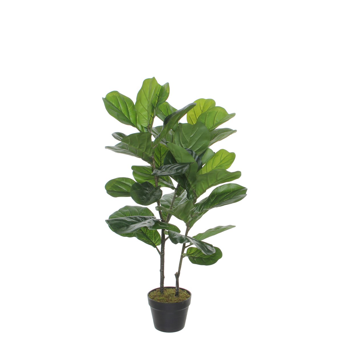 Ficus Lyrata Kunstplant - H100 x Ø60 cm