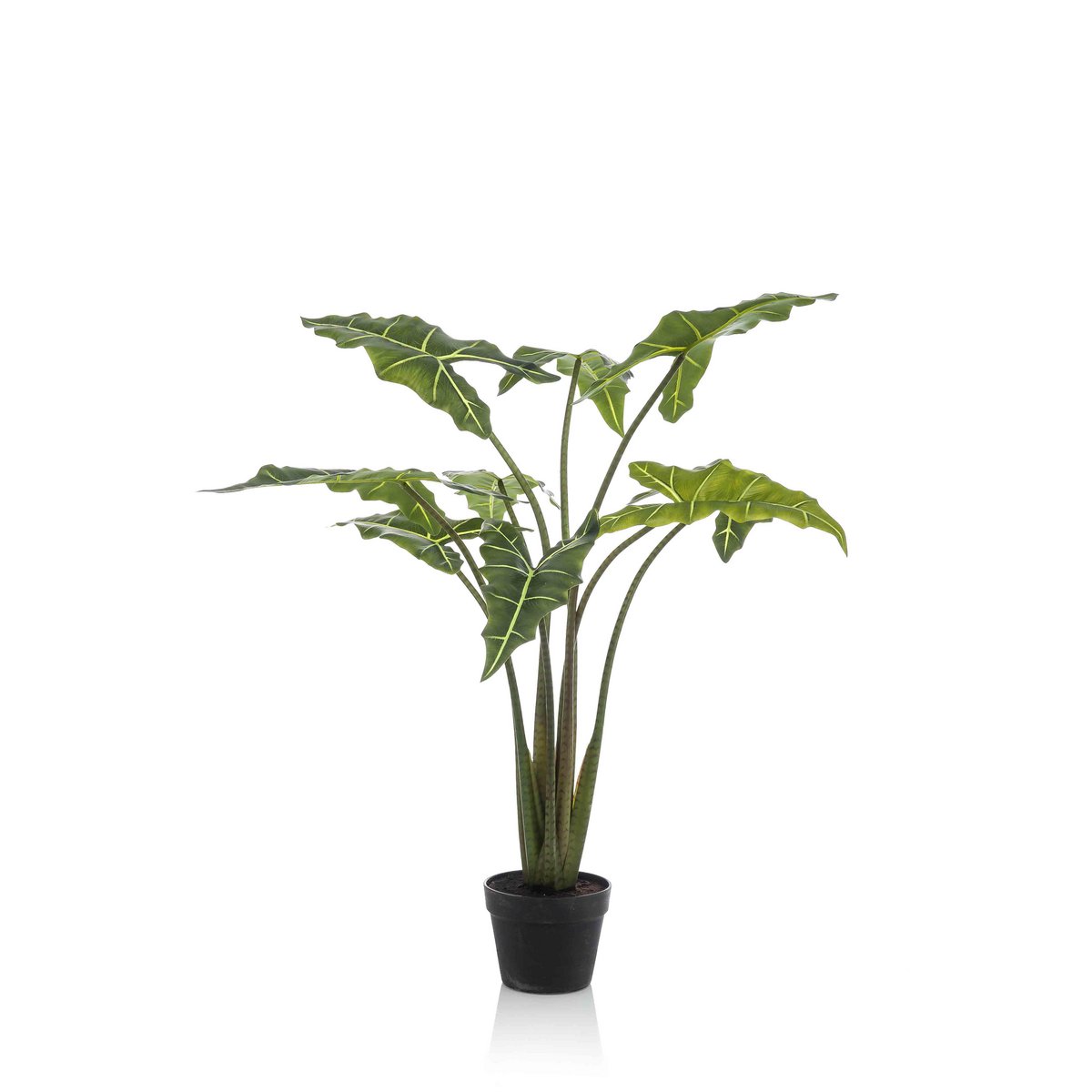 Alocasia Kunstplant - 100 cm