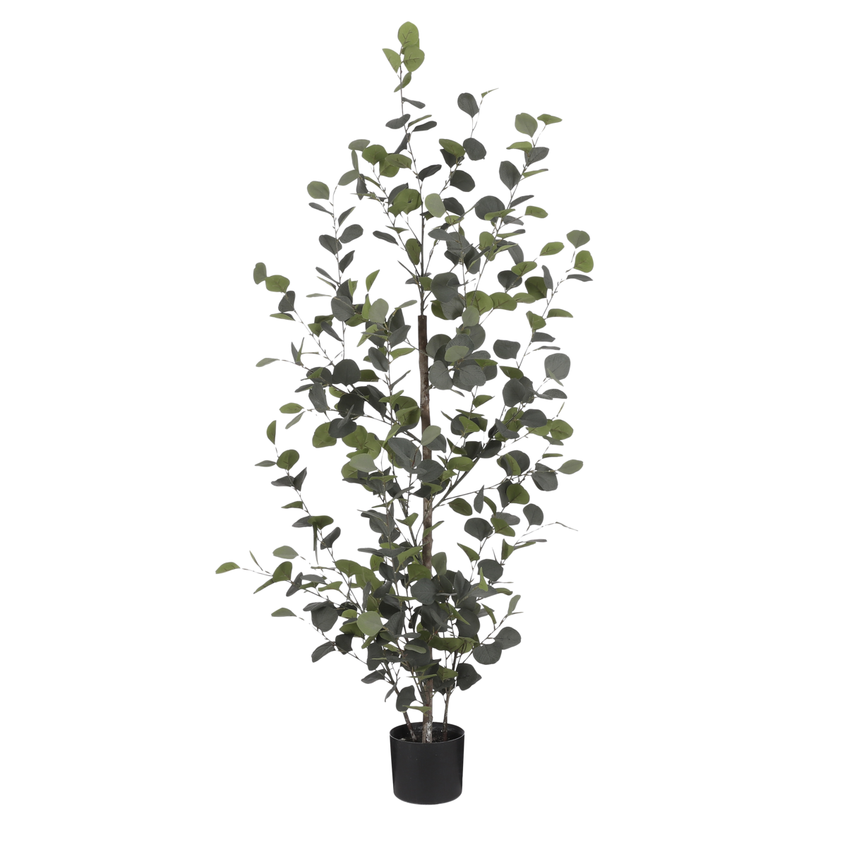 Eucalyptus Kunstplant - In Bloempot