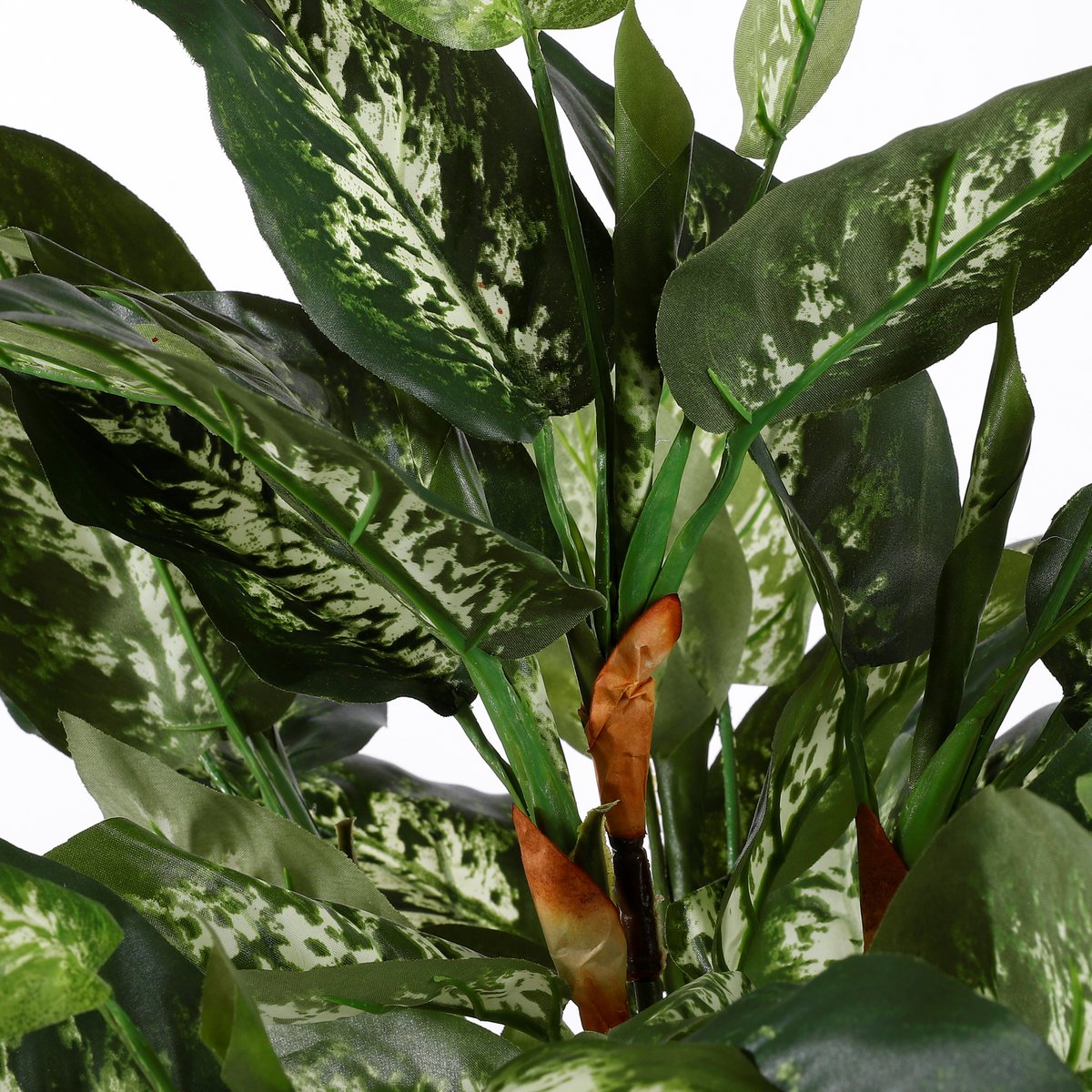 Kunstplant Dieffenbachia - In Bloempot Stan