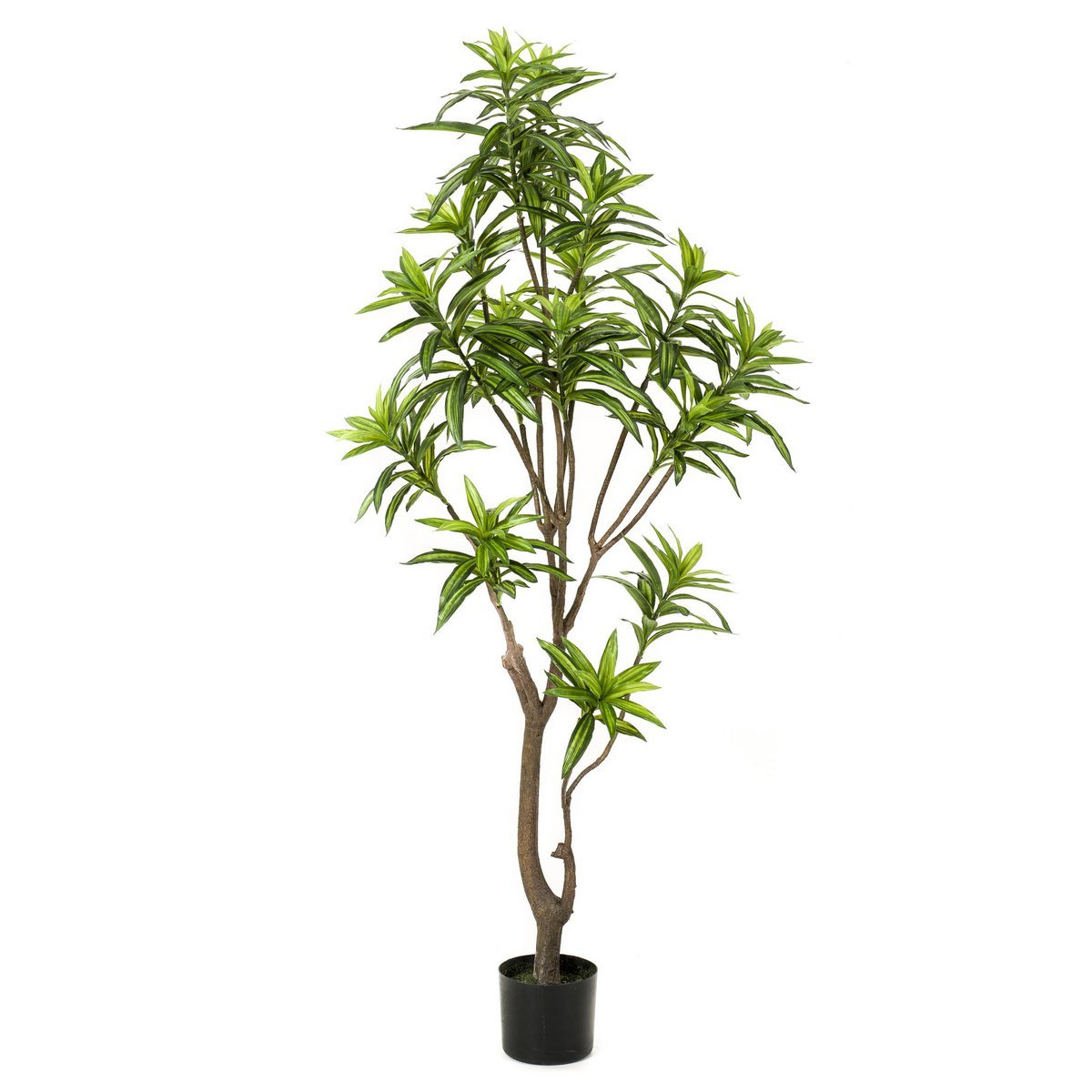 Kunstplant - Dracaena 155 cm