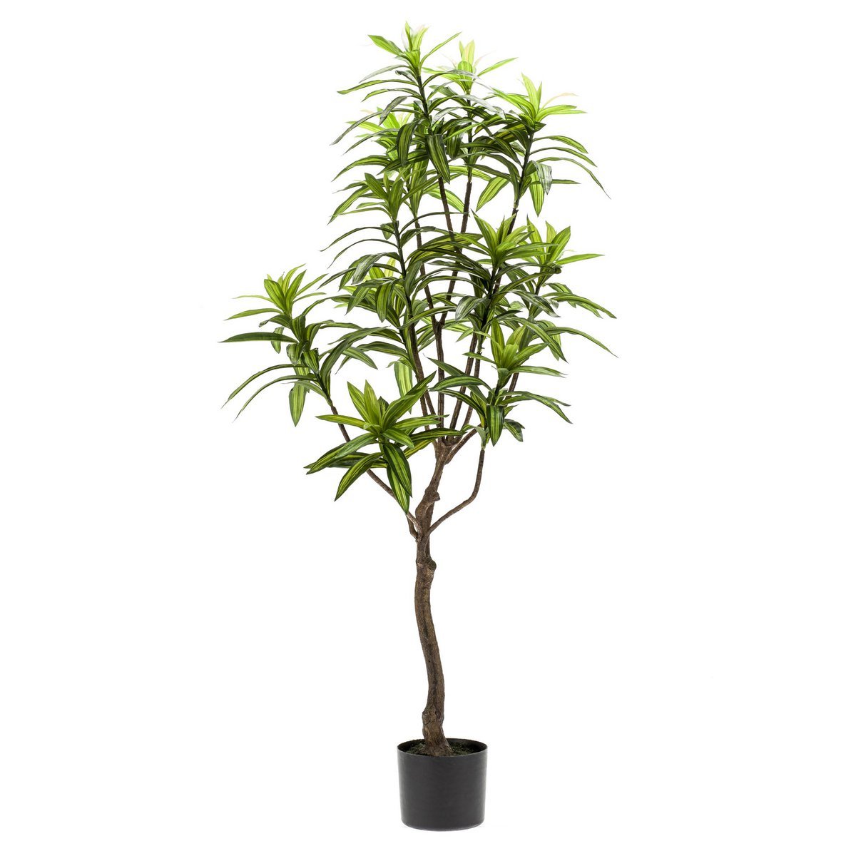 Kunstplant - Dracaena 130 cm