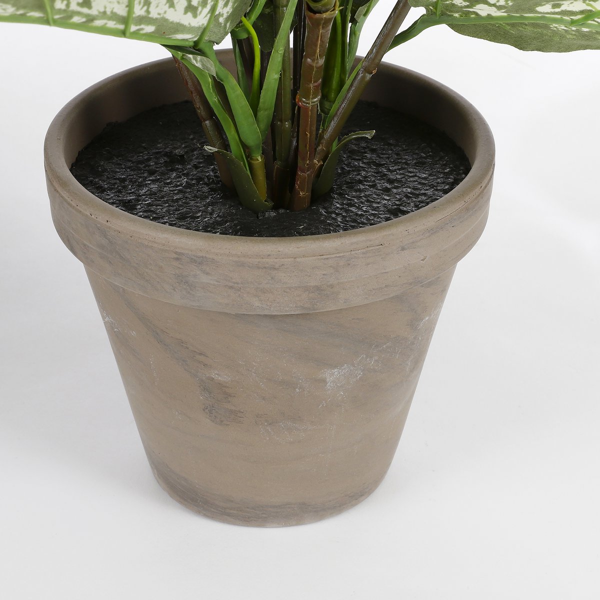 Kunstplant Dieffenbachia - In Bloempot Stan