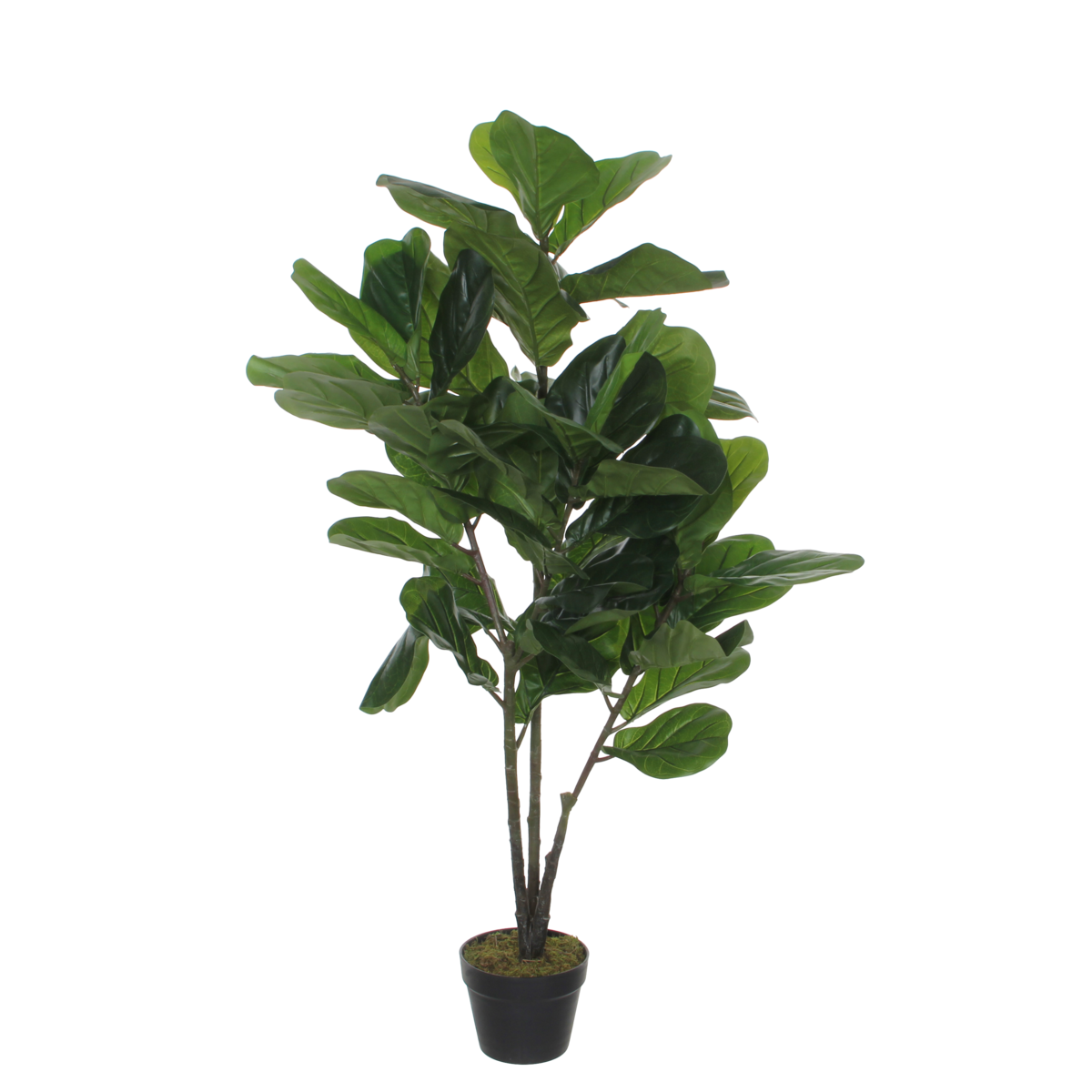 Ficus Lyrata Kunstplant - H120 x Ø60 cm
