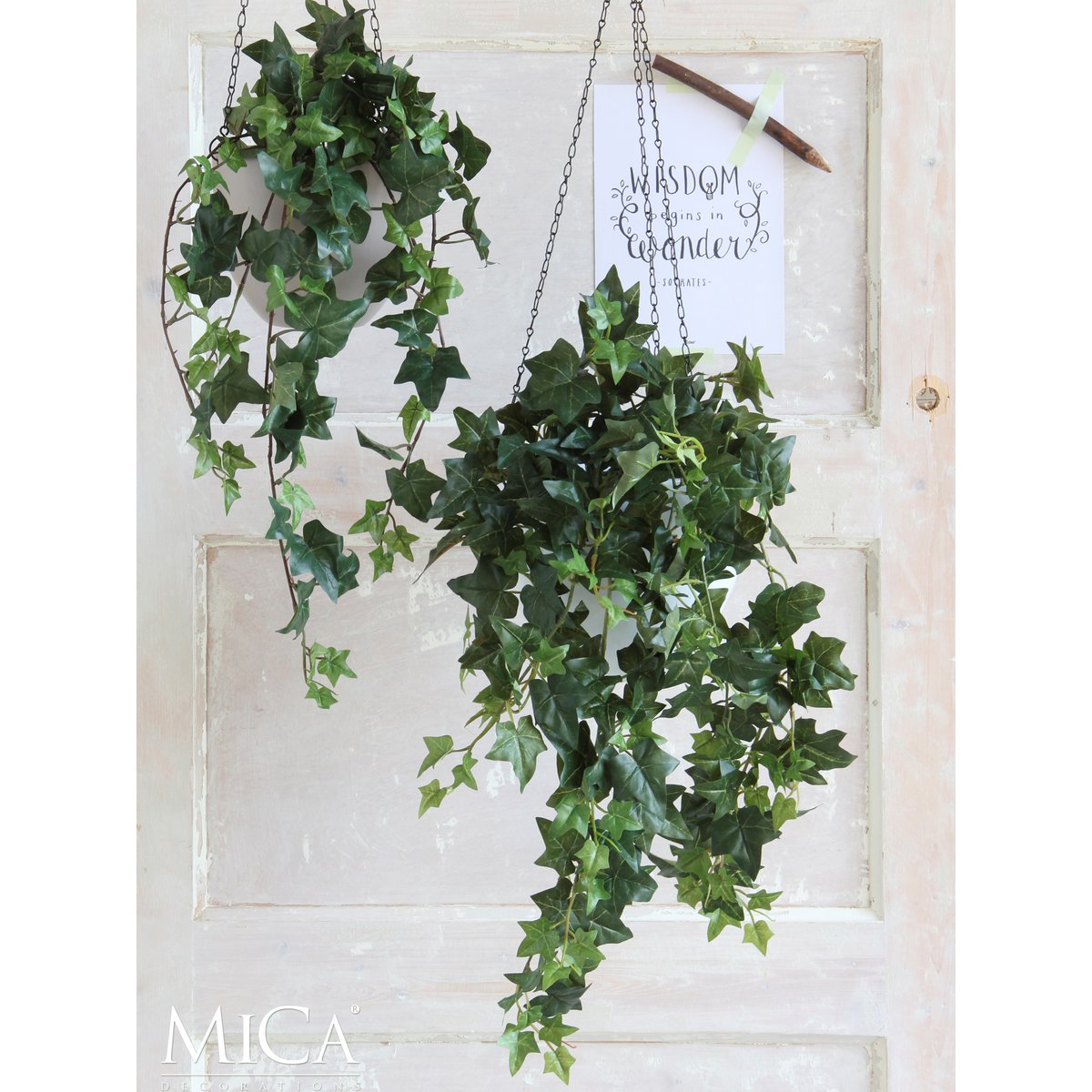 Hedera Kunst Hangplant