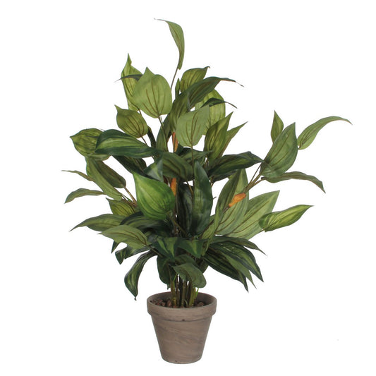 Hosta Kunstplant - Incl. Bloempot Stan