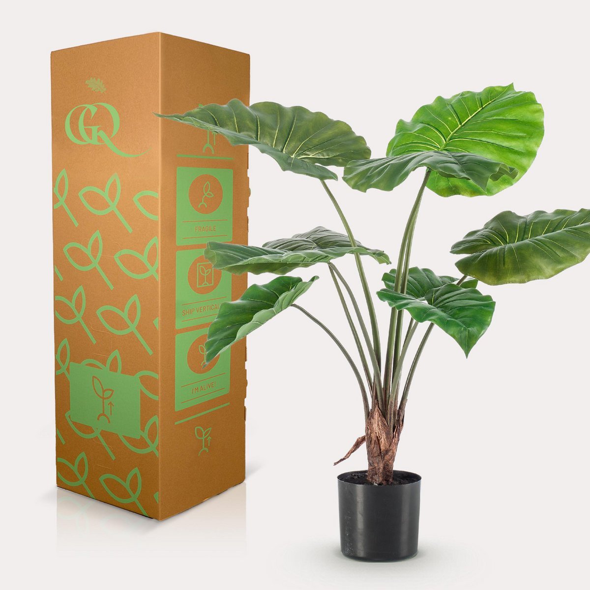 Alocasia Kunstplant - 70 cm
