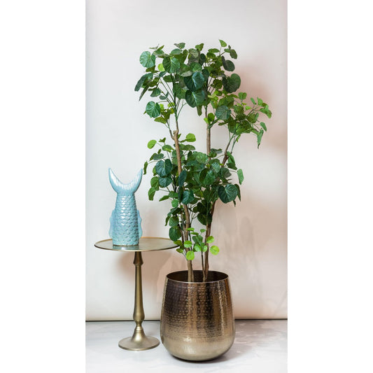 Kunstplant - Polyscias 160 cm