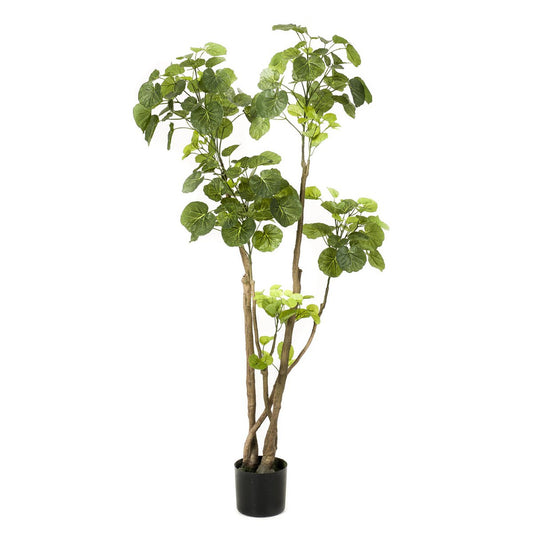 Kunstplant - Polyscias 140 cm