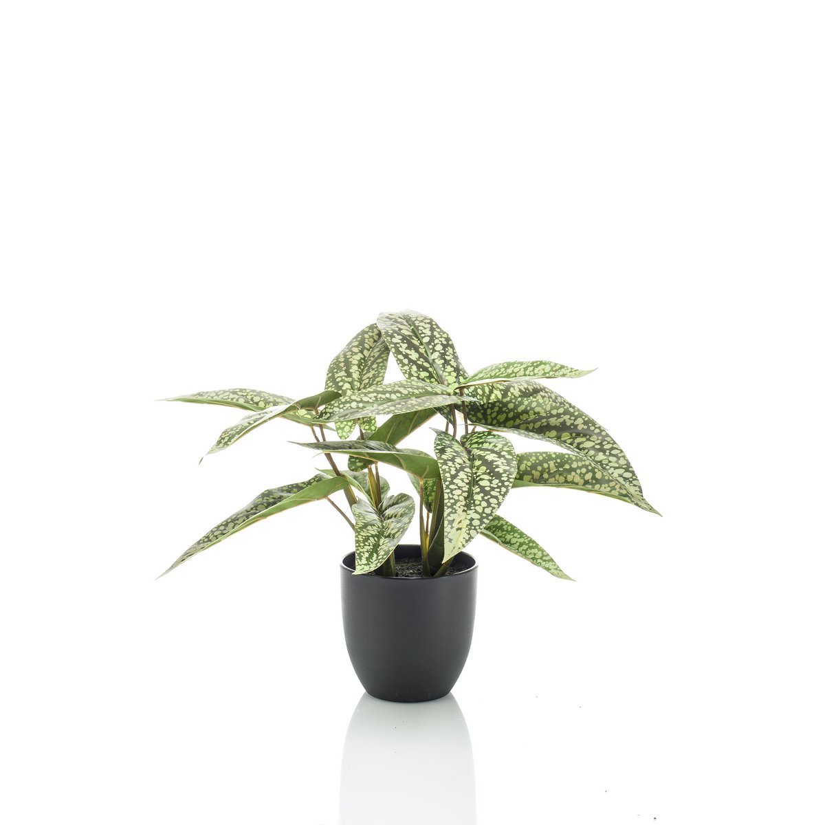 Kunstplant - Calathea Dots 38 cm