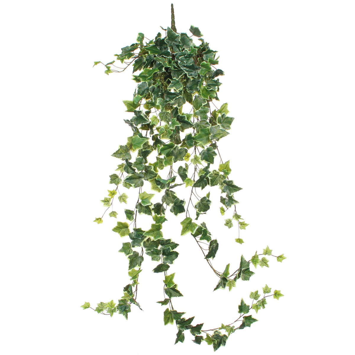 Hedera Kunst Hangplant