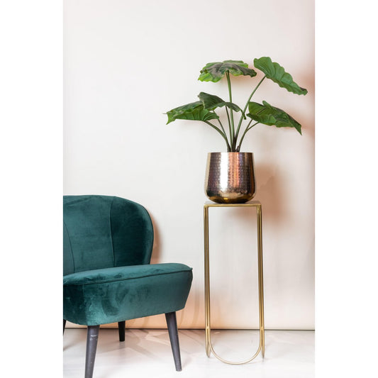 Alocasia Kunstplant - 70 cm