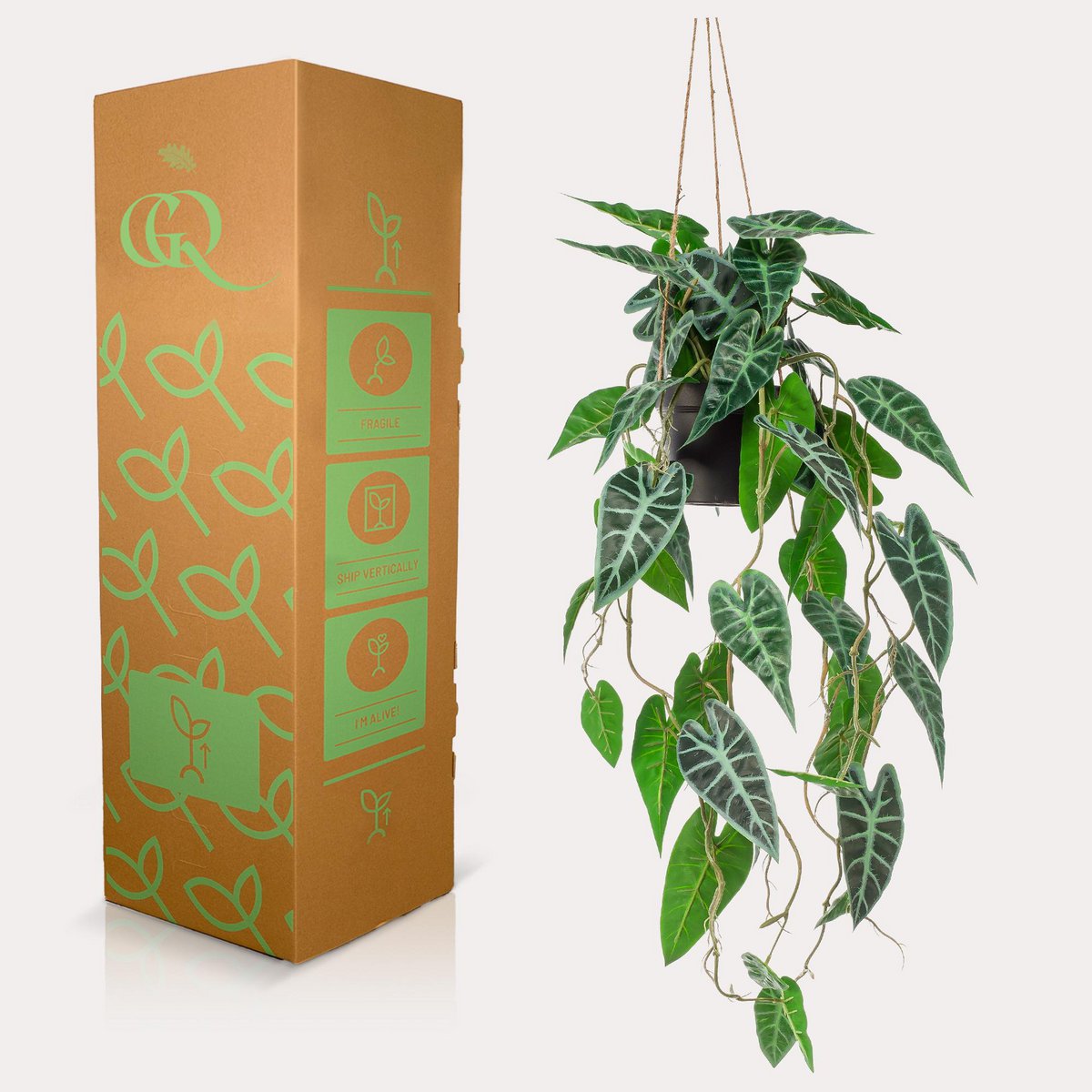 Alocasia Kunstplant - 80 cm