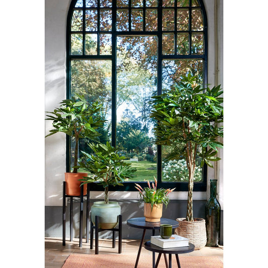 Pachira Kunstplant - H150 x Ø65 cm
