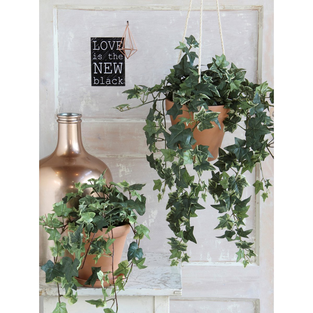 Hedera Kunst Hangplant
