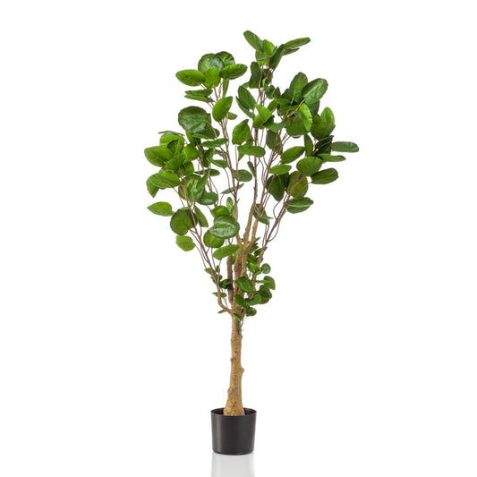 Kunstplant - Polyscias 150 cm