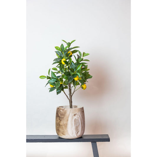 Kunstplant - Citroenboompje 75 cm