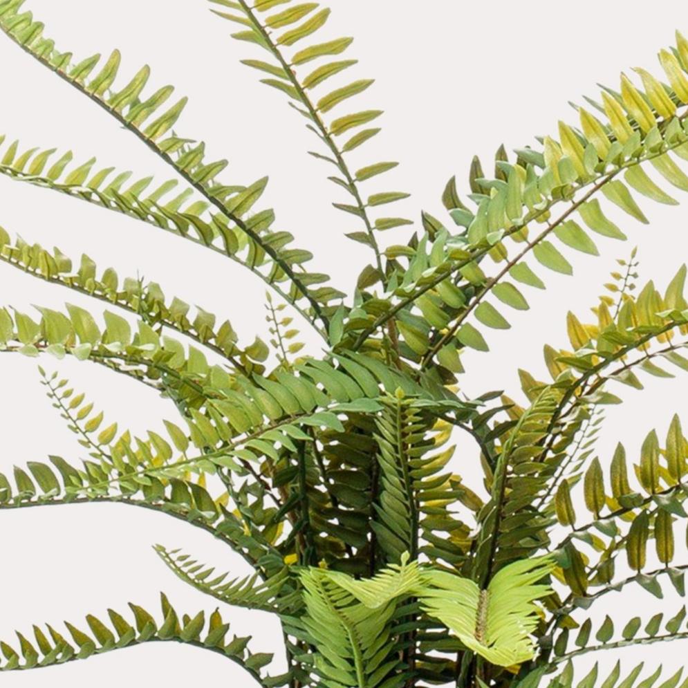 Kunstplant - Nephrolepis Exaltata 55 cm