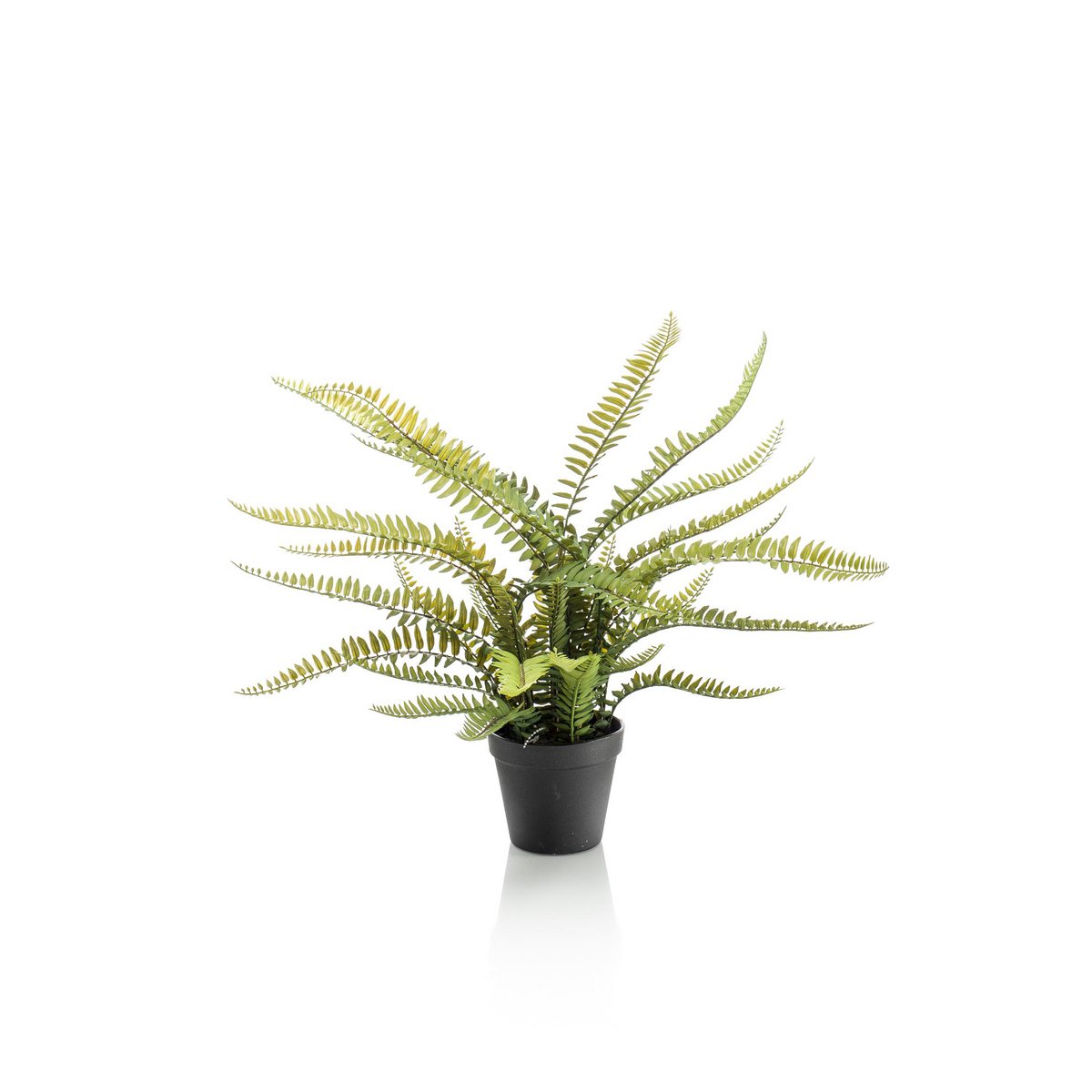 Kunstplant - Nephrolepis Exaltata 55 cm