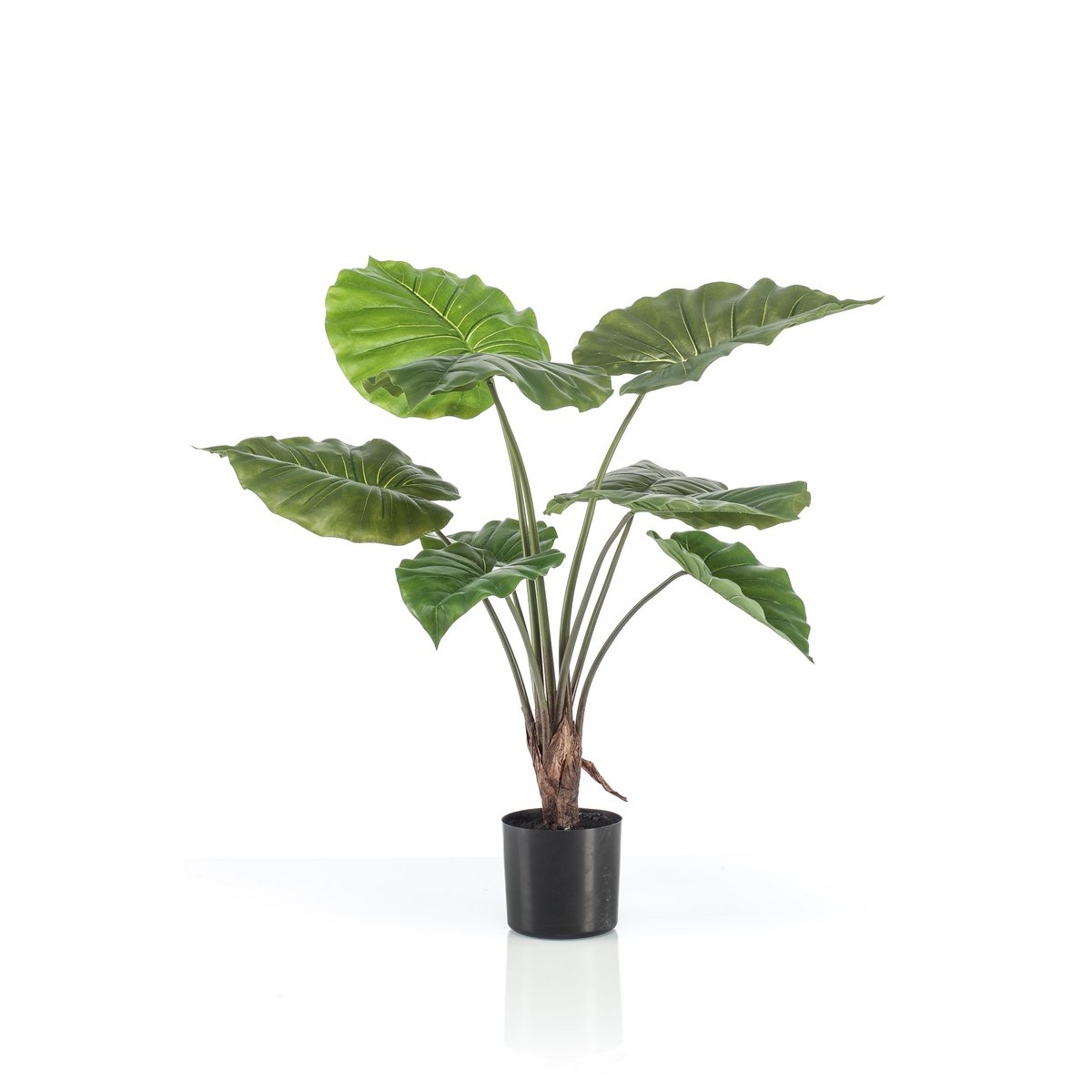 Alocasia Kunstplant - 70 cm