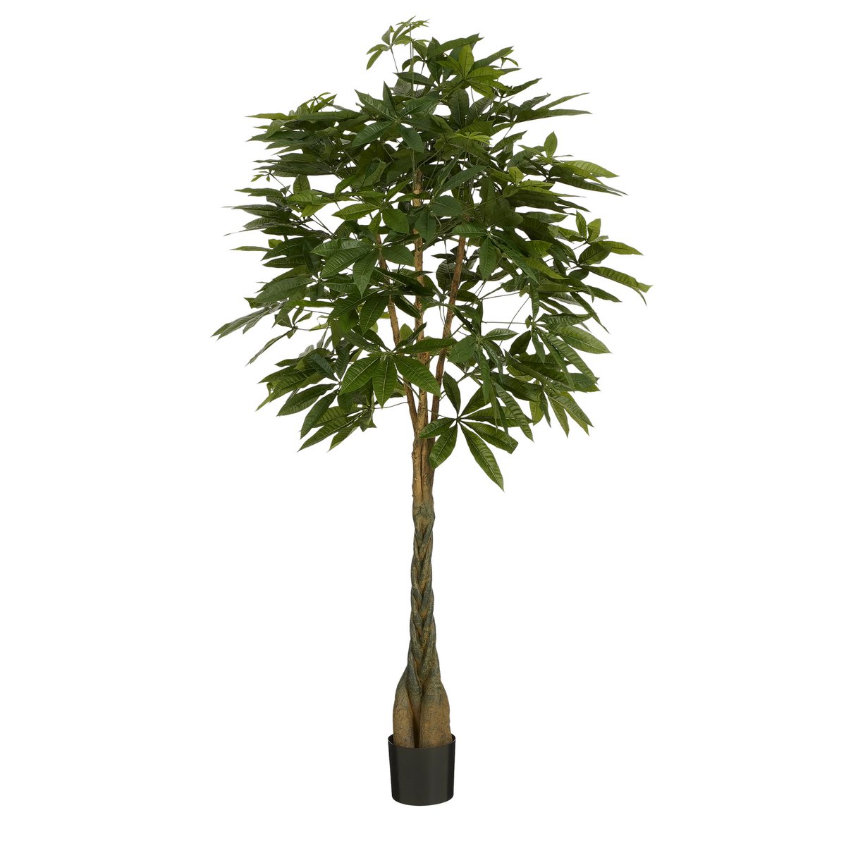 Pachira Kunstplant - H150 x Ø65 cm